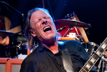 Swans